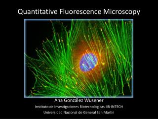 Quantitative Fluorescence Microscopy