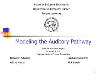 Modeling the Auditory Pathway