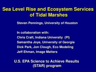 Sea Level Rise and Ecosystem Services of Tidal Marshes