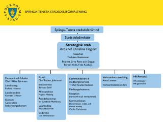 Stadsdelsdirektör