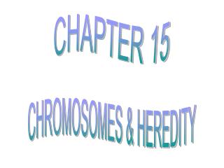 CHAPTER 15