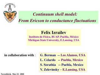 Continuum shell model: From Ericson to conductance fluctuations