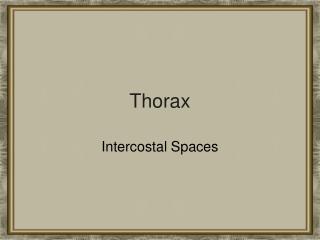 Thorax