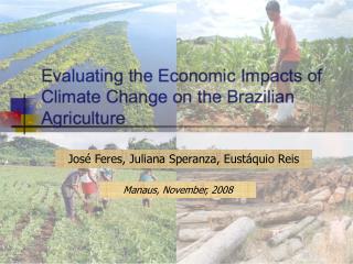 Evaluating the Economic Impacts of Climate Change on the Brazilian Agriculture
