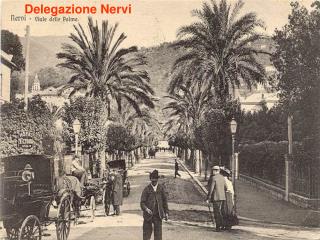 Delegazione Nervi