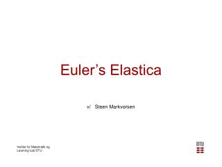 Euler’s Elastica