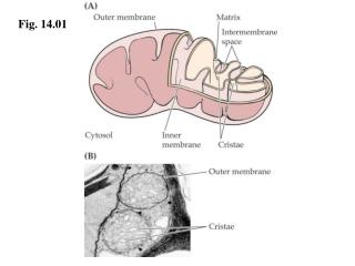 Fig. 14.01