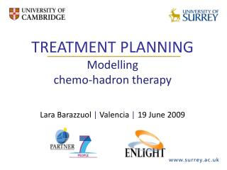 TREATMENT PLANNING Modelling chemo-hadron therapy