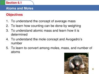 To understand the concept of average mass To learn how counting can be done by weighing