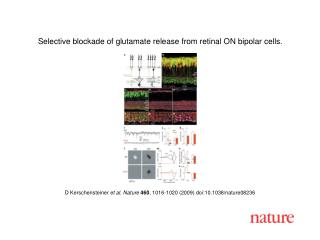 D Kerschensteiner et al. Nature 460 , 1016 - 1020 (2009) doi:10.1038/nature08 236