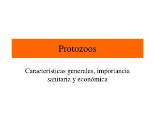 Protozoos