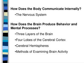 How Does the Body Communicate InternallyThe Nervous System