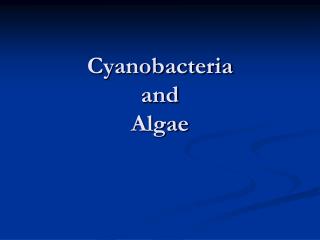 Cyanobacteria and Algae