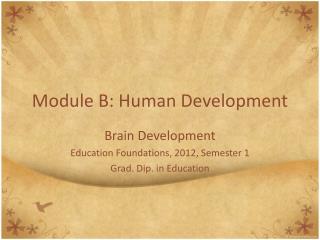 Module B: Human Development