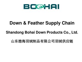 Down &amp; Feather Supply Chain Shandong Bohai Down Products Co., Ltd. 山东渤海羽绒制品有限公司 羽绒供应链