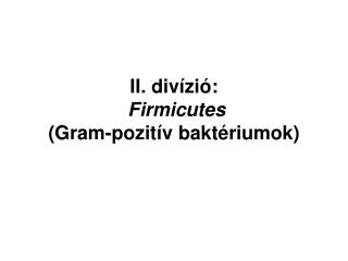 II. divízió: Firmicutes (Gram-pozitív baktériumok)