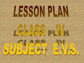 LESSON PLAN CLASS IV SUBJECT E.V.S.