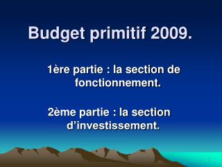 Budget primitif 2009.