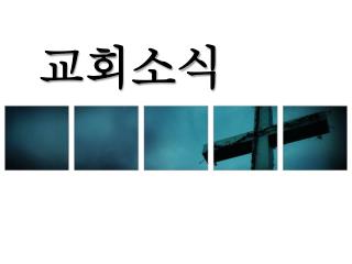 교회소식