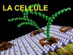 LA CELLULE