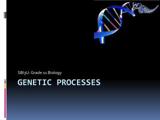 Genetic processes