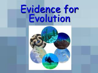 Evidence for Evolution