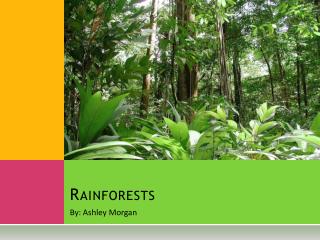 Rainforests