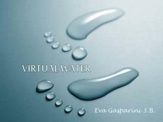 VIRTUAL WATER