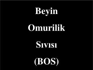 Beyin Omurilik Sıvısı (BOS)