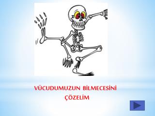 VÜCUDUMUZUN BİLMECESİNİ ÇÖZELİM