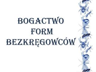 BOGACTWO FORM BEZKRĘGOWCÓW