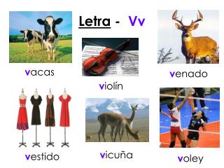 Letra - Vv