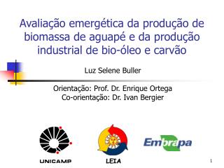 Luz Selene Buller Orientação: Prof. Dr. Enrique Ortega Co-orientação: Dr. Ivan Bergier