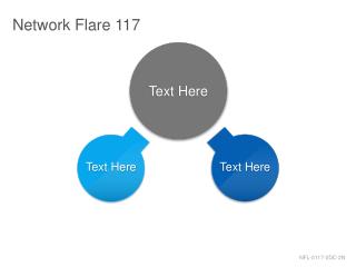 Network Flare 117