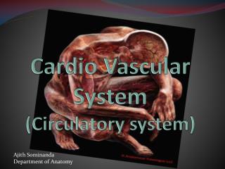 Cardio Vascular System (Circulatory system)