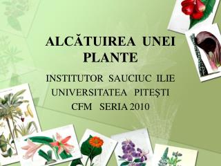 ALCĂTUIREA UNEI PLANTE