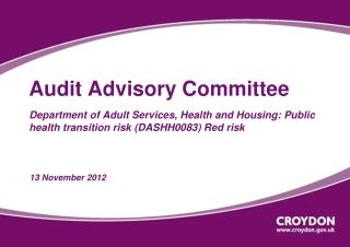 Audit Advisory Committee