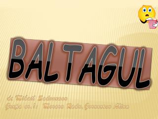 BALTAGUL