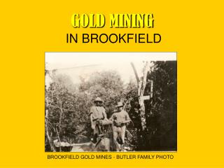 GOLD MINING IN BROOKFIELD