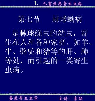 是棘球绦虫的幼虫，寄生在人和各种家畜，如羊、牛、骆驼和猪等的肝、肺等处，而引起的一类寄生虫病。