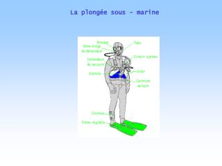 La plongée sous - marine