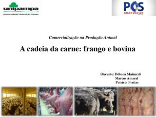 A cadeia da carne: frango e bovina