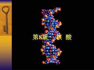 第8章 核 酸