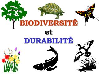 BIODIVERSITÉ et DURABILITÉ