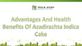 Azadirachta Indica Cake A Natural Fertilizer