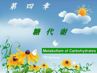 Metabolism of Carbohydrates