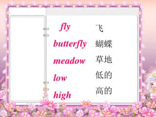 fly butterfly meadow low high