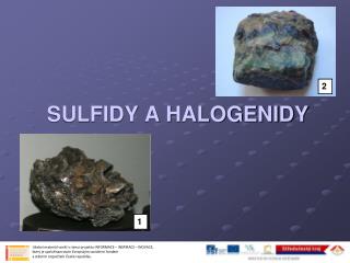 SULFIDY A HALOGENIDY