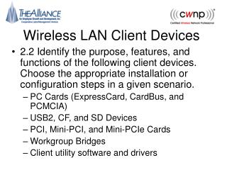Wireless LAN Client Devices