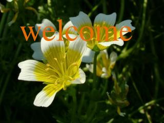 welcome